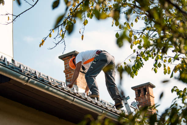 Best Best Roofing Contractors  in Panthersville, GA