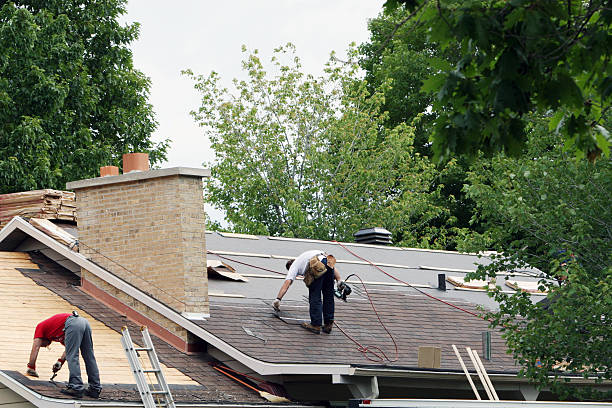 Best Roof Gutter Cleaning  in Panthersville, GA