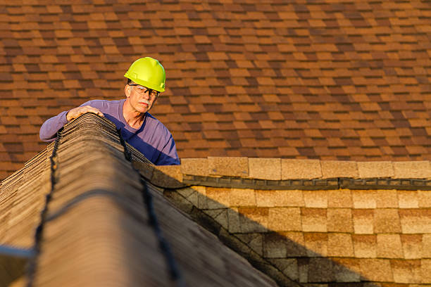Best Roof Leak Repair  in Panthersville, GA