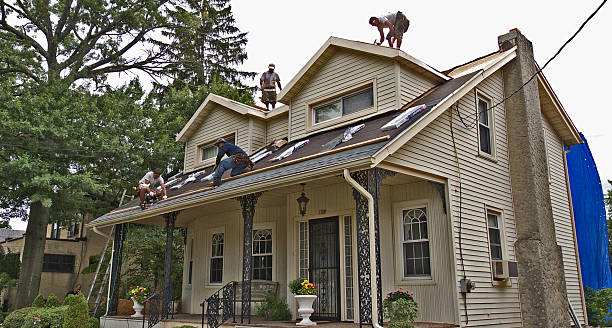 Best Local Roofing Companies  in Panthersville, GA