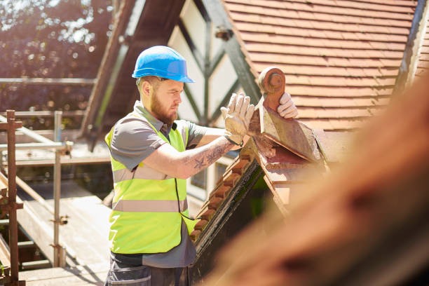 Best Roof Maintenance Services  in Panthersville, GA