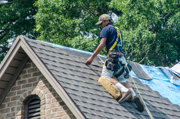 Trusted Panthersville, GA Roofing Contractor Experts