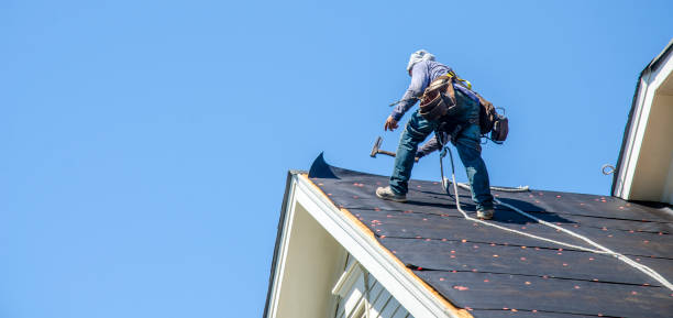 Best Metal Roofing Contractor  in Panthersville, GA